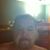 Joseph L. Anselment Jr.'s profile image