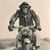 Brian Wood's profile image