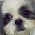 Danette Page's profile image