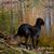 Dianne Bolt's profile image