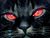 Teri A.'s profile image