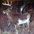 Richard Gallagher's profile image