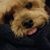 Kris Whitehall Johnston's profile image