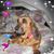 Elaine Newland's profile image