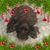 Nicholas Meyer's profile image