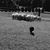 Mary Elizabeth Williams's profile image
