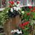 Dawn Mckenzie Shoemaker's profile image