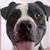 Chris Fernandez's profile image
