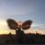 Paul Ronald Dombrowski's profile image