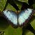 Julie Scrivner's profile image