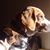 Bob Dutter's profile image