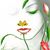 Jessica Brooks's profile image