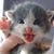 Maria Hawl's profile image