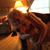 Barbara Fiebelkorn's profile image