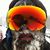 Jared Eberhardt's profile image