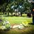 Cindi Davis Phillips's profile image
