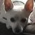 Angela Ella Bella Conradi-Gholson's profile image