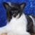 Joyce Gaddy Enlow's profile image