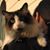 Snuffy Rin's profile image