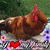 Jeri Collier's profile image