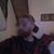John Guay's profile image