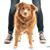 Missy Gordon's profile image