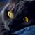Jeff Buotte's profile image