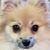 FreCie MizMea's profile image