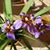 Wendy Gallo's profile image