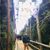 Richy Vang's profile image