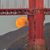 Lynda Scully Williams's profile image