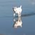 Chrisee Mignot's profile image