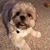 Gail Steinbrink's profile image