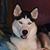 Kelly Buss's profile image