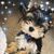 Tammy Whittaker's profile image