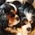Elaine Clark Cook's profile image