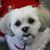 Jacqueline Migone's profile image