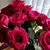 Liliana M Craig's profile image