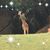 Angel Fincham's profile image