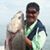 Tommy Segawa's profile image