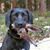 Warren D. Shepherd's profile image