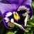 Brandy Jenkins's profile image