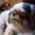 Fran Reed's profile image