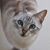 Belynda Warren's profile image