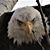 Kate Kinerney's profile image