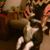Linda Taylor Hughes's profile image