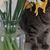 Anne Ritter's profile image