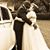 Mindy Conney's profile image