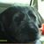 Natalie Richardson-Brown's profile image