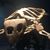 Chris Pocase's profile image